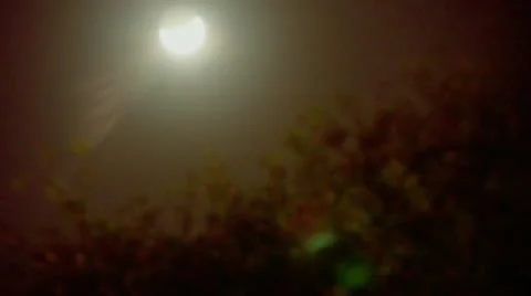 Timelapse moon night Vídeo Stock 11557172