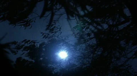 Timelapse moon night 스톡 동영상 11587160