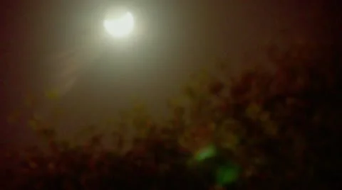 Timelapse moon night Video stock 11606272