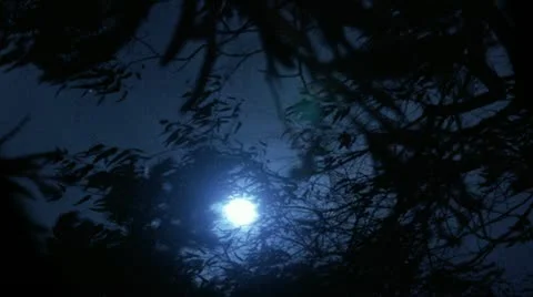 Timelapse moon night Video stock 11606421