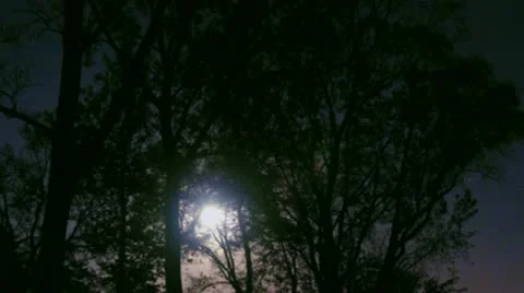 Timelapse moon rise Video stock 11606291