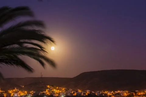 Timelapse moon rise with a palm Stock Footage 200446951