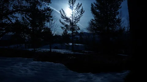 Timelapse Moon In Winter Forest Video stock 243229989