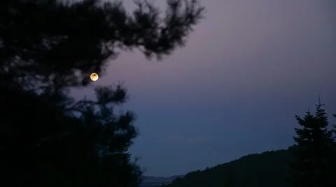 Timelapse moonrise Stockbeeldmateriaal 29950856