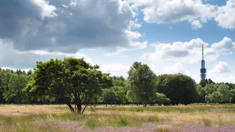 Timelapse of the Moor Hilversum Stock Footage 70698149