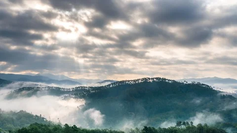 Timelapse. Morning mist go down on the amazing green mountains of Tuscany, Italy Vídeos de archivo 114220076