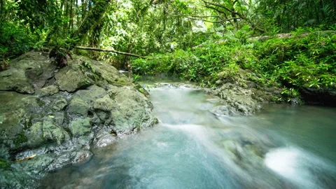 Timelapse motion control of small forest stream Stock Footage 148081118