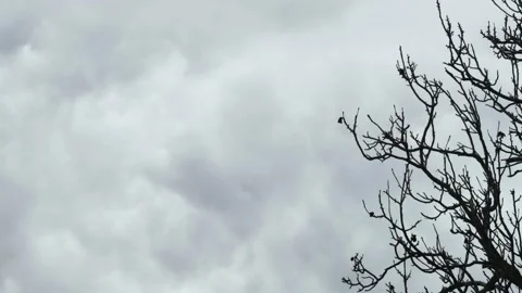Timelapse motion of gloomy clouds with rain 스톡 동영상 235653672