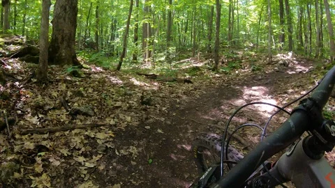 Timelapse of Mountain biking in the forest Stock Footage 110874247