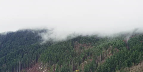 Timelapse of mountain fog 2 Stock Footage 57980151