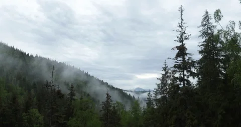 Timelapse of a mountain landscape in rainy and foggy weather. Stock Footage 244517299