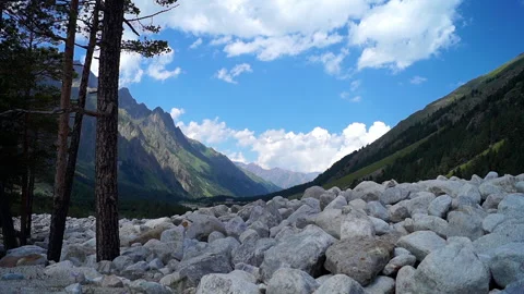 Timelapse mountain landscape view of a gorge of pine trees Stock Footage 281486760