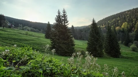 Timelapse with mountain meadow Video stock 67627416