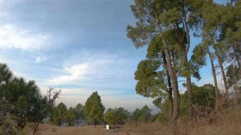 Timelapse Mountain Pasture Clouds Trees Stock Footage 124273431