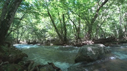 Timelapse on a mountain river Stock Footage 98797746