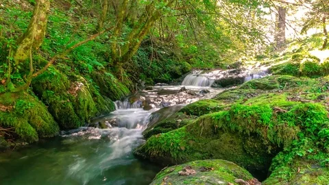 Timelapse mountain stream flowing over rocks in forest Video stock 70245397