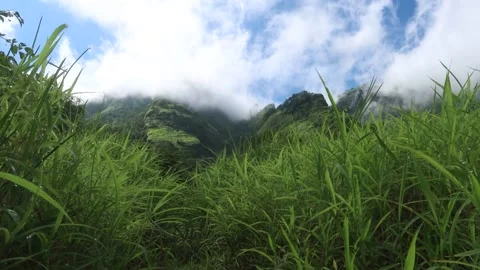 Timelapse of mountains and moving clouds taken during Ahupe Ghat trek. Stock Footage 154166091