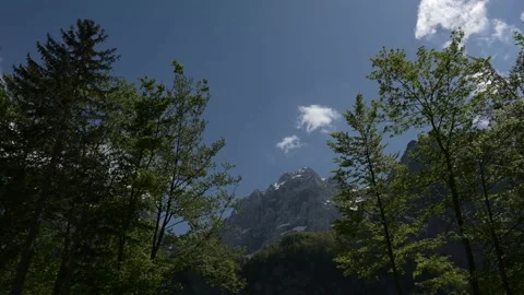 Timelapse mountains with moving trees in foreground. Stock Footage 130685599