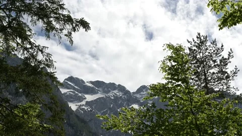 Timelapse mountains with moving trees in foreground. Stockbeeldmateriaal 130688702