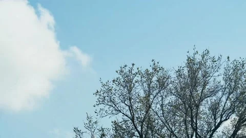 Timelapse of the movement of beautiful white clouds in the sky over a spring Vídeos de archivo 237851462