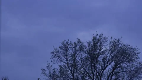 Timelapse of the movement of clouds in the blue sky over the spring tree Vídeos de archivo 237851465