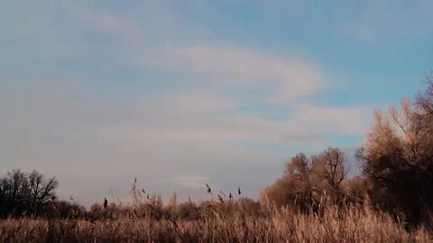 Timelapse, the movement of clouds. Stock Footage 231430282