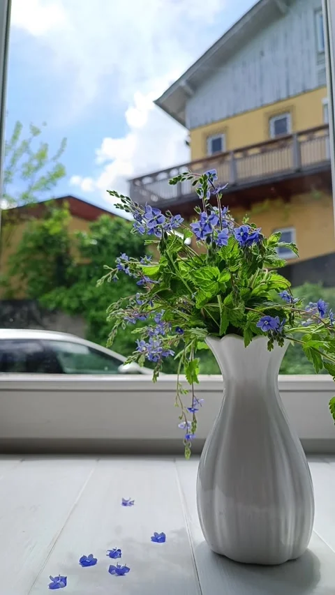 Timelapse movement of clouds view from the window. Stock Footage 241265335