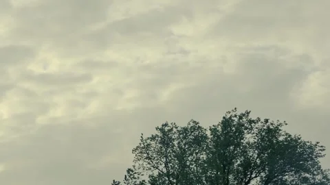 Timelapse of the movement of morning clouds over a spring tree Vídeos de archivo 240882829