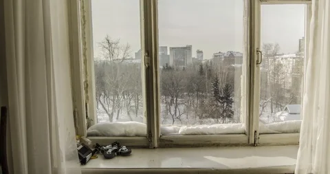 Timelapse of movement in a park Stock-Footage 129542271