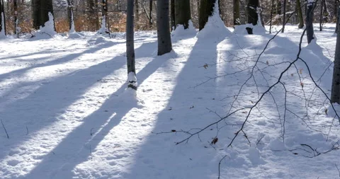 Timelapse of the movement of shadows on the snow. Stock Footage 133050820