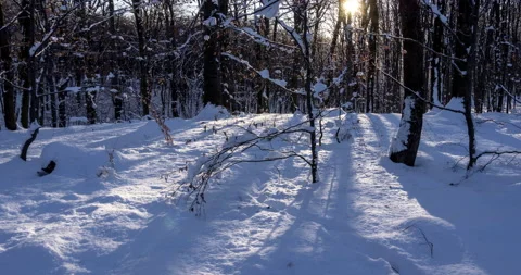 Timelapse of the movement of shadows from trees on the snow. Stock Footage 133045054