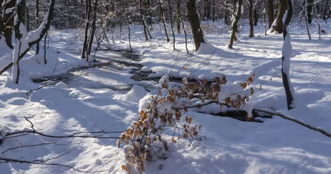Timelapse of the movement of shadows from trees on the snow Stock Footage 133161535