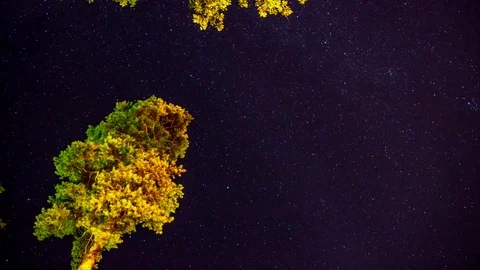 Timelapse the movement of the stars. Stock Footage 81045179