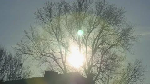 Timelapse of the movement of the sun behind the tree over the roof of the ho Vídeos de archivo 235966941