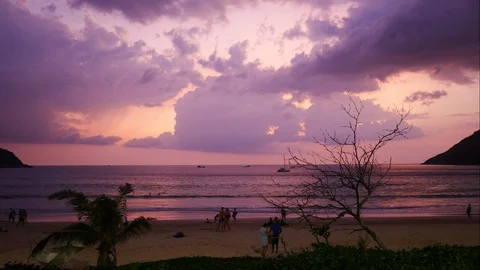 Timelapse of moving cloud after sunset , dry branch tree and coconut tree on Stock Footage 98894373