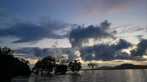 Timelapse of moving cloud and sea wave with mountain and silhouette mangrove  Video stock 99617676