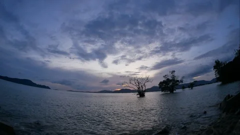 Timelapse of moving cloud and sea wave , dry silhouette tree in water and man Stock Footage 101389605