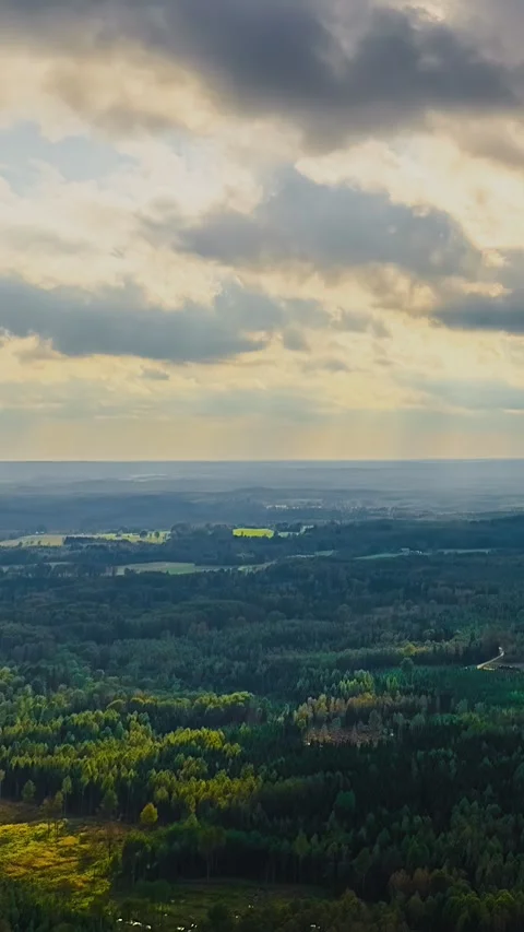 Timelapse of Moving Clouds Casting Shadows Over Expansive Forest Landscape Stock Footage 340141045