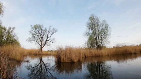 Timelapse of moving clouds Stock Footage 190102951