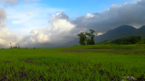 Timelapse of moving clouds with foreground landscape Video stock 156592879