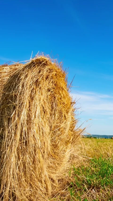 A timelapse of moving clouds with a haystack Stock Footage 335279522