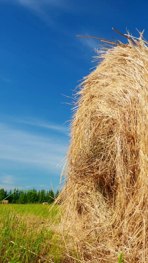 A timelapse of moving clouds with a haystack Stock Footage 335280724