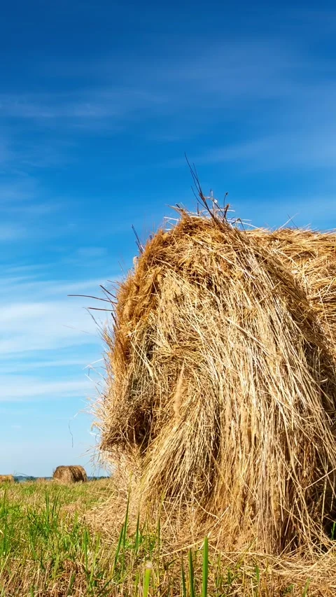 A timelapse of moving clouds with a haystack Stock Footage 335280853