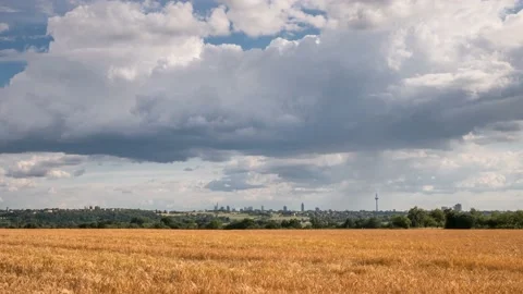 Timelapse - Moving clouds over a field in summer Видео 133778030