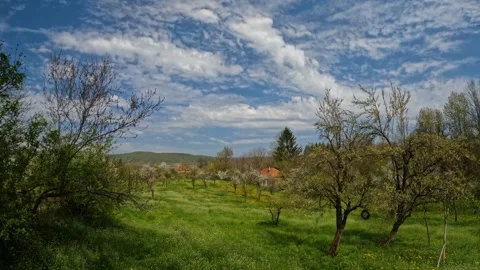 Timelapse of Moving Clouds Over Green Spring Meadow in Sunny Rural Landscape Stock Footage 341416555