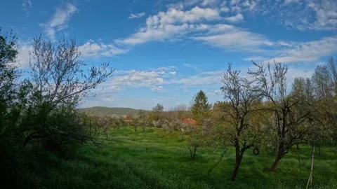 Timelapse of Moving Clouds Over Green Spring Meadow in Sunny Rural Landscape Stock Footage 341416556