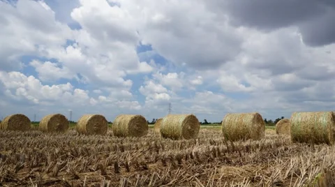 Timelapse of moving clouds over paddy fields in Sungai Besar, Malaysia Stock Footage 59603948