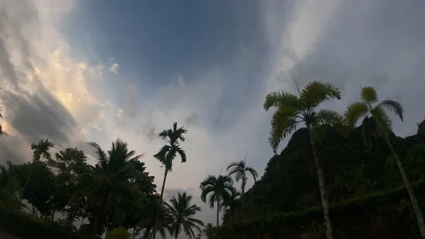 Timelapse - moving clouds , palmtrees Stock Footage 194434558