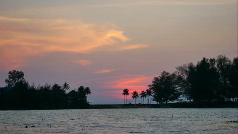 Timelapse of moving colorful twilight sky, moving coconut leaves, pine tree,  Stock Footage 128669960