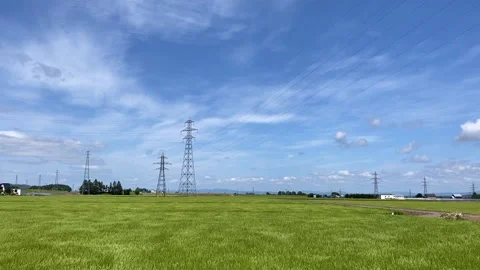 Timelapse moving grass under the blue sky Stock Footage 136712800